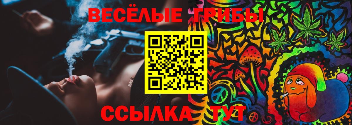 Нижневартовск  Псилоцибиновые грибы Psilocybine cubensis  Вход с VPN  Псилоцибиновые грибы Cubensis 