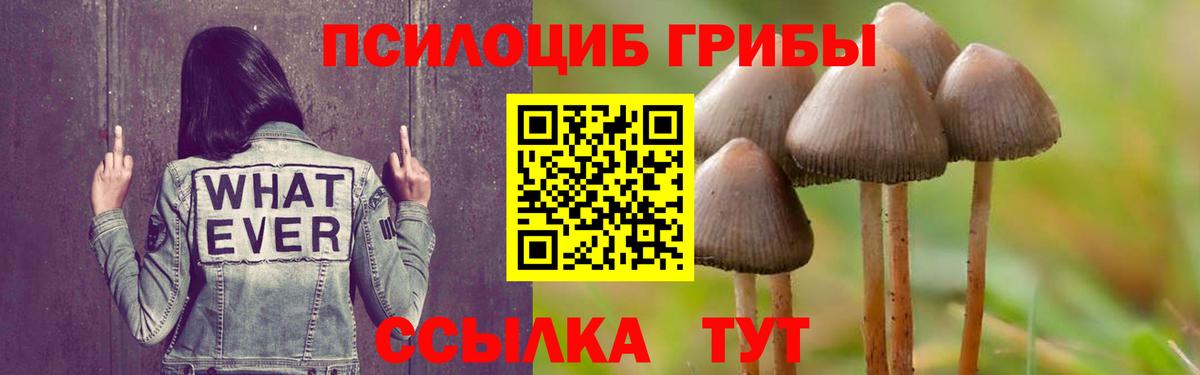 Псилоцибиновые грибы GOLDEN TEACHER Нижневартовск